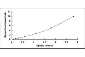Typical standard curve (ANGPTL1 Kit ELISA)