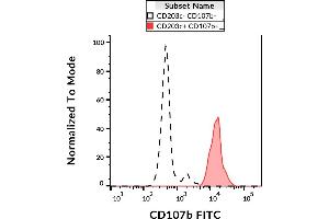 Flow cytometry analysis (surface staining) of IgE-stimulated human peripheral blood with anti-CD107b (H4B4) FITC. (LAMP2 anticorps  (FITC))