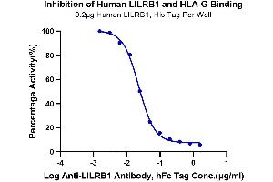 Serial dilutions of Anti-LILRB1 Antibody were added into Biotinylated Human HLA-G Complex Tetramer, His Tag : Human LILRB1, His Tag binding reactioins.