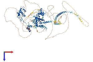 AlphaFold protein structure predicition of Mouse Recombinant Smarcc1 Protein, UniprotID P97496