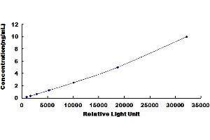Leucine Rich Repeat Containing 3C (LRRC3C) ELISA Kit