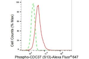 Flow cytometric analysis of Phospho-CDC37 (S13) expression in HT- cells using Phospho-CDC37 (S13) antibody (ABIN7798011), 1:2,000).