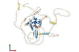 AlphaFold protein structure predicition of Mouse Recombinant Arid3b Protein, UniprotID Q9Z1N7
