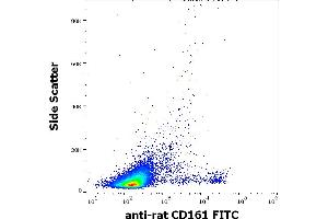 Flow cytometry surface staining pattern of rat splenocytes stained using anti-rat CD161 (10/78) FITC antibody (concentration in sample 1 μg/mL). (CD161 anticorps  (FITC))