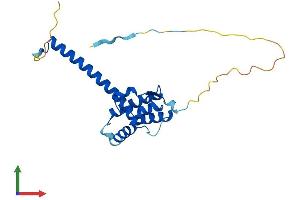 AlphaFold protein structure predicition of Mouse Recombinant Tma16 Protein, UniprotID Q9CR02
