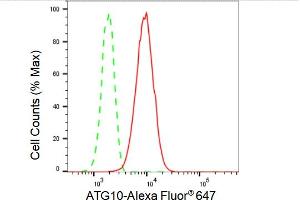 Flow cytometric analysis of ATG10 expression in HepG2 cells using ATG10 antibody (ABIN7797705), 1:2,000). (Recombinant ATG10 anticorps)