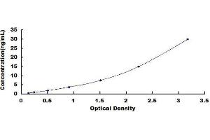 ELISA image for Complement Component 4 Binding Protein, beta (C4BPB) ELISA Kit (ABIN1568721) (C4BPB Kit ELISA)