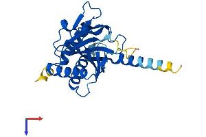 AlphaFold protein structure predicition of Human Recombinant EGLN3 Protein, UniprotID Q9H6Z9