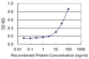 Detection limit for recombinant GST tagged TK1 is 1 ng/ml as a capture antibody. (TK1 anticorps  (AA 1-234))