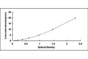 Typical standard curve (EEA1 Kit ELISA)