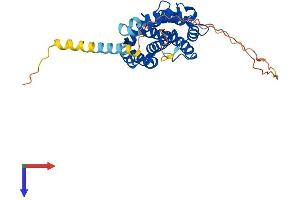 AlphaFold protein structure predicition of Mouse Recombinant Gltpd2 Protein, UniprotID Q8K0R6