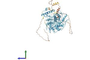 AlphaFold protein structure predicition of Human Recombinant ZNF624 Protein, UniprotID Q9P2J8