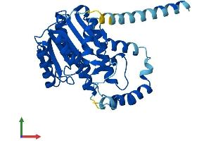 AlphaFold protein structure predicition of Mouse Recombinant Hsd17b3 Protein, UniprotID P70385