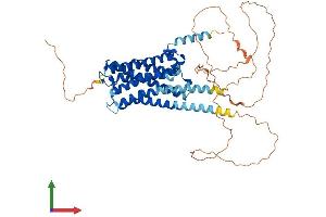AlphaFold protein structure predicition of Human Recombinant CHRM5 Protein, UniprotID P08912