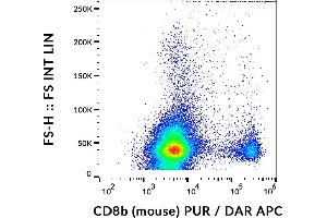Flow cytometry analysis (surface staining) of murine splenocytes using anti-CD8b (H35-17. (CD8B anticorps)