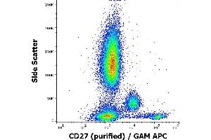 Flow cytometry surface staining pattern of human peripheral whole blood stained using anti-human CD27 (LT27) purified antibody (concentration in sample 2 μg/mL, GAM APC).