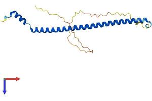 AlphaFold protein structure predicition of Mouse Recombinant Kxd1 Protein, UniprotID Q80XH1