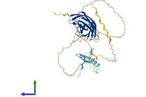 AlphaFold protein structure predicition of Mouse Recombinant Eeig1 Protein, UniprotID Q78T81