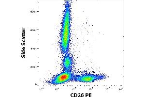 Flow cytometry surface staining pattern of human peripheral whole blood stained using anti-human CD26 (BA5b) PE antibody (20 μL reagent / 100 μL of peripheral whole blood).