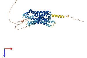 AlphaFold protein structure predicition of Mouse Recombinant Oprk1 Protein, UniprotID P33534
