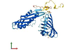 AlphaFold protein structure predicition of Human Recombinant AHSA1 Protein, UniprotID O95433