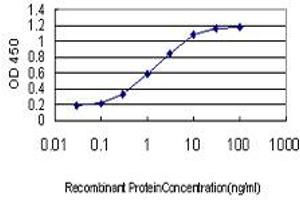 Detection limit for recombinant GST tagged ING1 is approximately 0. (ING1 anticorps  (AA 41-140))