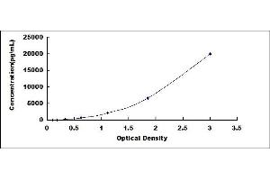 Typical standard curve