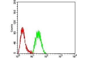 Flow cytometric analysis of Hela cells using EZH1 mouse mAb (green) and negative control (red).