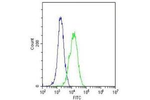 Intracellular FACS testing of human U2OS cells with GARS antibody (green) and isotype control (blue) at 1:25.