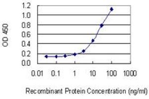 Detection limit for recombinant GST tagged TNR is 0. (Tenascin R anticorps  (AA 411-519))