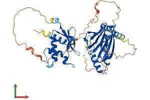 AlphaFold protein structure predicition of Mouse Recombinant Irf8 Protein, UniprotID P23611