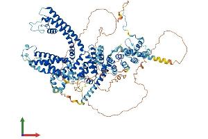 AlphaFold protein structure predicition of Human Recombinant TRPC4 Protein, UniprotID Q9UBN4