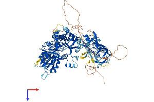 AlphaFold protein structure predicition of Human Recombinant MOCOS Protein, UniprotID Q96EN8
