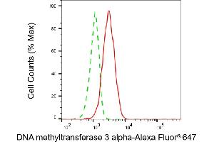 anti-DNA (Cytosine-5-)-Methyltransferase 3 alpha (DNMT3A) antibody