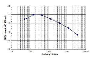 ELISA of anti-Ash2 antibody ELISA results of Rabbit anti-Ash2 antibody.