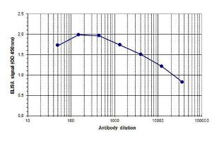 ELISA of anti-Ash2 antibody ELISA results of Rabbit anti-Ash2 antibody. (ASCL2 anticorps  (C-Term))