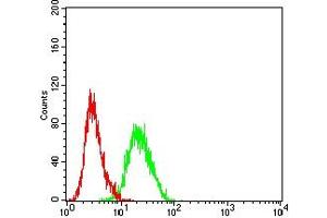 Flow cytometric analysis of HL-60 cells using CD230 mouse mAb (green) and negative control (red).