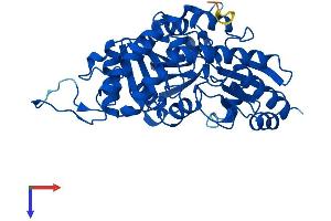 AlphaFold protein structure predicition of Mouse Recombinant Cth Protein, UniprotID Q8VCN5