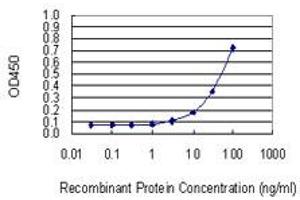 Detection limit for recombinant GST tagged UCK2 is 1 ng/ml as a capture antibody. (UCK2 anticorps  (AA 1-261))