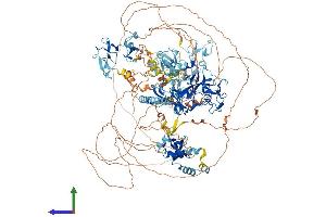AlphaFold protein structure predicition of Human Recombinant NSD3 Protein, UniprotID Q9BZ95
