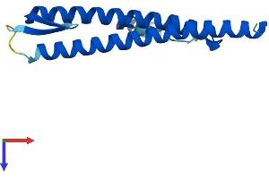 AlphaFold protein structure predicition of Human Recombinant PDRG1 Protein, UniprotID Q9NUG6