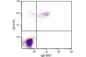Human peripheral blood lymphocytes were stained with Mouse Anti-Human IgD-BIOT. (Souris anti-Humain IgD Anticorps (Biotin))