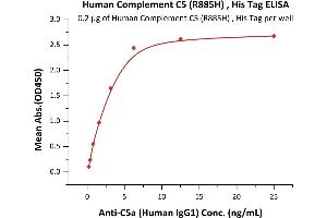 Immobilized Human Complement C5 (R885H), His Tag (ABIN6810053,ABIN6938883) at 2 μg/mL (100 μL/well) can bind Anti-C5a (Human IgG1) with a linear range of 0.