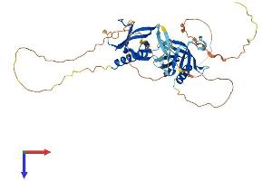 AlphaFold protein structure predicition of Mouse Recombinant Plekha2 Protein, UniprotID Q9ERS5