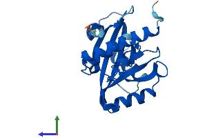 AlphaFold protein structure predicition of Mouse Recombinant Nudt16l1 Protein, UniprotID Q8VHN8