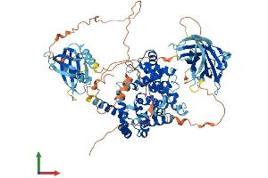 AlphaFold protein structure predicition of Human Recombinant RABGAP1L Protein, UniprotID Q5R372