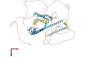 AlphaFold protein structure predicition of Human Recombinant CATSPER1 Protein, UniprotID Q8NEC5
