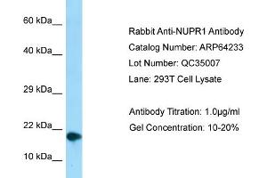 Western Blotting (WB) image for anti-Nuclear Protein, Transcriptional Regulator, 1 (NUPR1) (C-Term) antibody (ABIN971307) (NUPR1 anticorps  (C-Term))