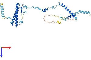 AlphaFold protein structure predicition of Human Recombinant ISY1 Protein, UniprotID Q9ULR0