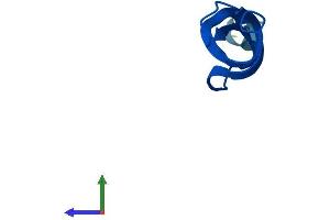 AlphaFold protein structure predicition of Human Recombinant MRPL33 Protein, UniprotID O75394